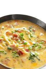 Chopped cabbage, carrot, spring onion, bacon in egg wash