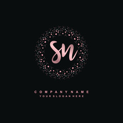 SN Beauty vector initial logo, handwriting logo of initial signature, wedding, fashion, jewerly, boutique, floral and botanical with creative template for any company or business