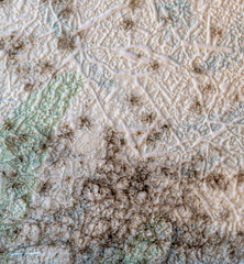 Mold on the wallpaper on the wall in the room