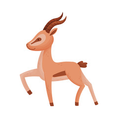 African Gazelle in Standing Pose Stylized Drawing Vector Illustration