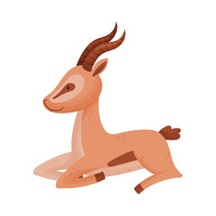 Fototapeta na wymiar African Wild Brown-tailed Gazelle with Horns Vector Illustration