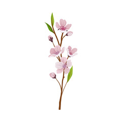 Fototapeta na wymiar Almond Branch with Flowers and Buds Vector Illustration