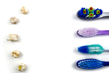 flat lay of toothbrushes on white background with copy space