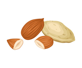 Whole Almond Nut and Half Split Isolated on White Background Vector Item