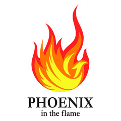 Phoenix in the flame illustrations for icons or logos