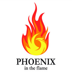 Phoenix in the flame illustrations for icons or logos