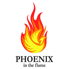 Phoenix in the flame illustrations for icons or logos
