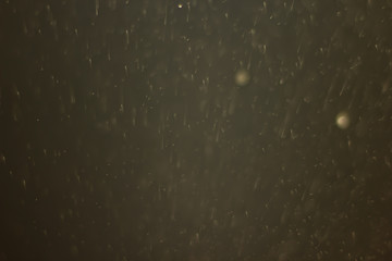 Bokeh and rain pictures