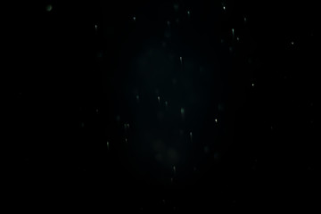 Bokeh and rain pictures