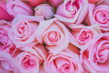 Soft focus with a bouquet of pink roses, Closeup shot of a bouquet made up of pink roses, bouquet of pink rose background.