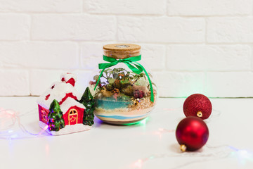 Florarium - composition of succulents, stone, sand and glass, element of interior, home decor,christmas deror, new year present