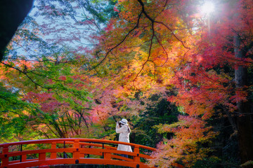 woman tourist enjoy walking alone in the village garden park, autumn season change in Japan for traveller visit Japan