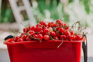 Ripe red sweet cherry in  plastic container