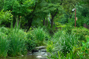 Obraz premium 公園