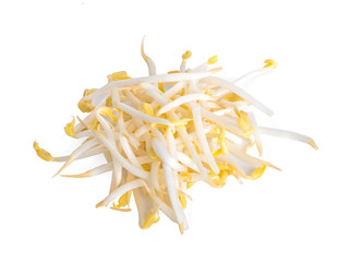 Bean Sprouts an isolated on White Background