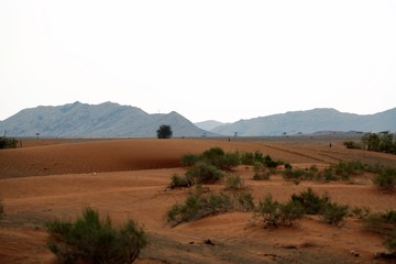 scenic landscape in the desert with dunes and peaks of mountains