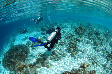 Group of divers hanging around vivid coral reef for safety stop, Mataking island, Malaysia.