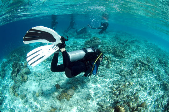 Group of divers hanging around vivid coral reef for safety stop, Mataking island, Malaysia.