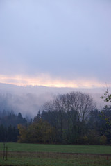 Fototapeta na wymiar Junger, nebeliger Spätherbstmorgen im Schwarzwald