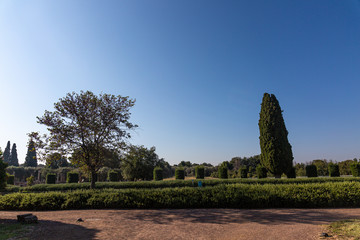 Trees in Villa Adriana park