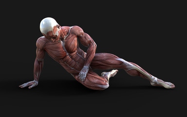 3D render of male figures pose with skin and muscle map on dark background with clipping path, Concept of between gods pose.