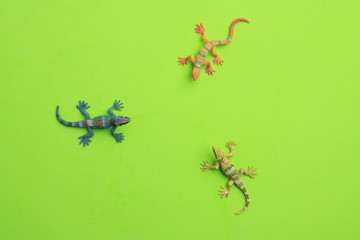 lizard shaped rubber toy in color background