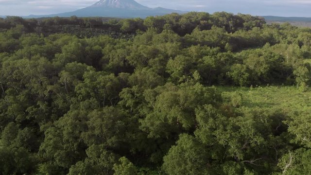  the camera rises from the forest to the volcano