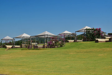 lawn And beautiful natural skies