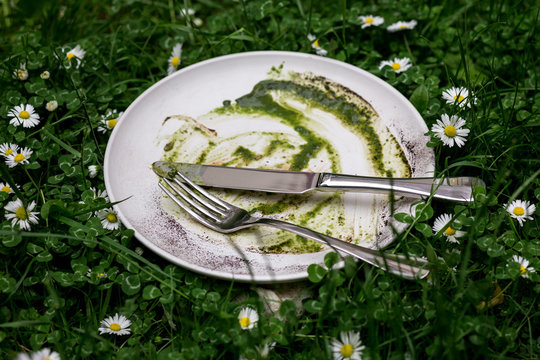 leer gegessener teller im Rasen mit g&auml;nsebl&uuml;mchen