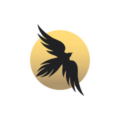 Vector of flying Bird logo design eps format