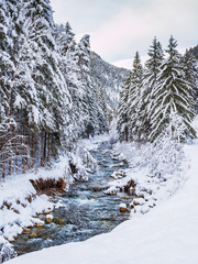 Brook in winter with trees and snow