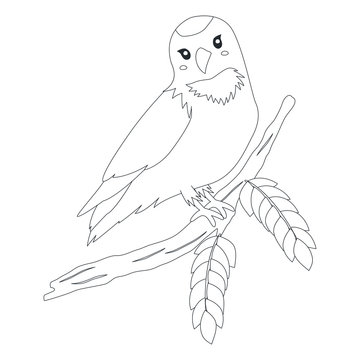 Bird of Indonesia coloring page, Serindit Riau bird (Blue Crowned hanging Parrot) perching on a tree branch. Exotic Indonesian bird cartoon vector. Coloring page for kids template.