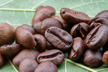 Coffee beans on leaves.