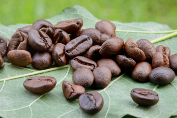 Coffee beans on leaves.