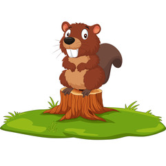 Cartoon beaver on tree stump © tigatelu
