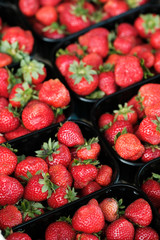 Natural organic strawberries in boxes at a farmers market 