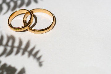 Wedding rings with plant shadow on white.