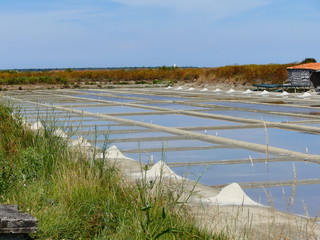 Paysage marais salants