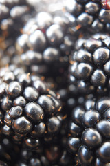 Ripe fresh blackberries as background. Close up view. Black raspberries. selective focus