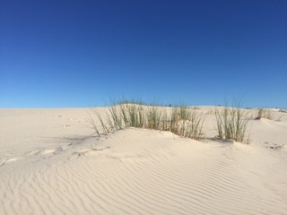 Fototapeta na wymiar duna