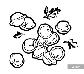 Dumplings in a pot. Ink hand drawing. Food, vegetables and fruit isolated on white background. Book illustration, recipe, menu, magazine or journal article.