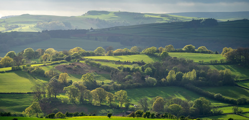 Welsh countryside, verdant trees and field.
