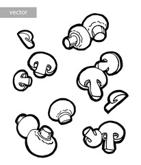 Champignons, mushroom. Ink hand drawing. Food, vegetables and fruit isolated on white background. Book illustration, recipe, menu, magazine or journal article.