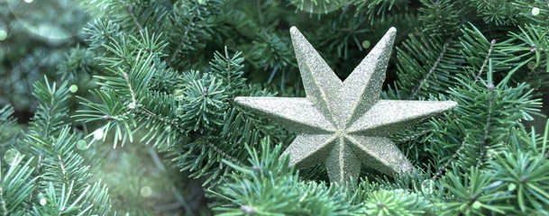 Tanne mit Stern - Weihnachten Hintergrund Banner