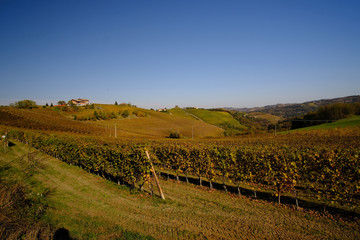 typical landscapes of the Piedmontese Langhe
