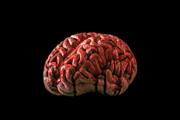 Bloody brain isolated on black background with clipping path