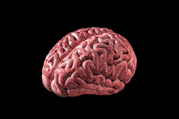 Brain with blood isolated on black background with clipping path