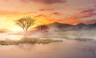 Fototapeta premium Morning mist in th lake. the tree in the water and mountain back with beautiful sky.