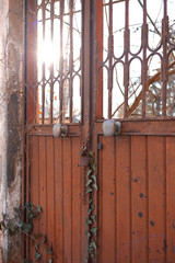 The rusty lock door and green ivy.