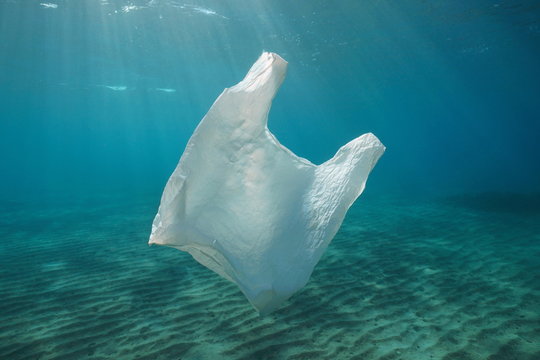A white plastic bag adrift underwater pollution in the ocean